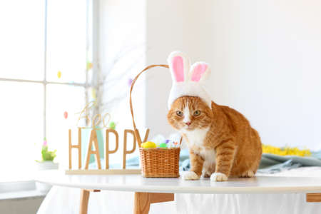 Cute cat with bunny ears, basket and Easter eggs on table in bedroomの写真素材