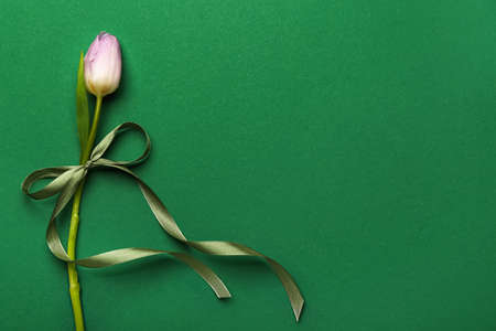 Composition with ribbon and flower for International Women's Day celebration on green background