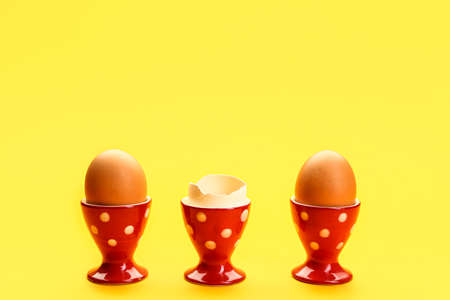 Fresh chicken eggs in holders on yellow backgroundの写真素材