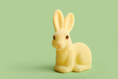 Cute Easter bunny on color backgroundの写真素材
