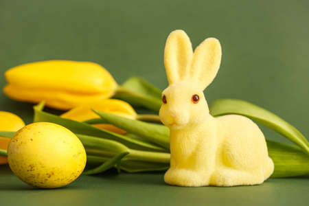 Yellow Easter bunny on green backgroundの写真素材
