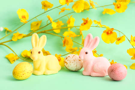 Cute Easter bunnies, eggs and blooming branch on color backgroundの写真素材