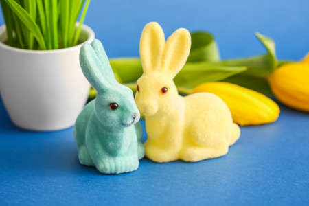 Cute Easter bunnies on color backgroundの写真素材