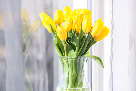 Vase with beautiful tulip flowers near window, closeupの写真素材