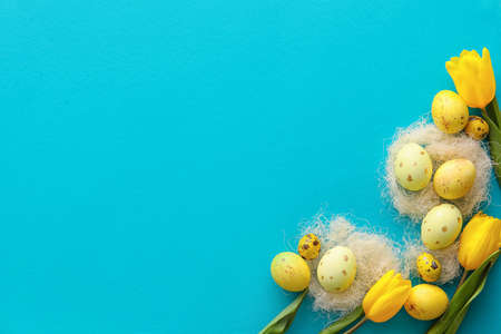 Composition with painted Easter eggs and tulip flowers on color backgroundの写真素材