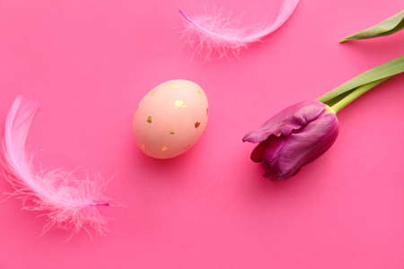 Easter egg, tulip flower and feathers on color backgroundの写真素材