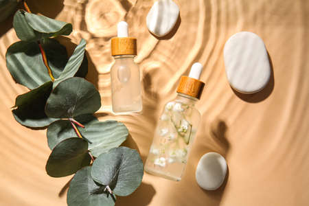 Bottles of natural serum, spa stones and eucalyptus branch in water on color backgroundの写真素材