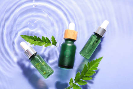 Bottles of natural serum and fern leaves in water on lilac background