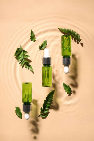 Bottles with natural serum and fern leaves in water on color backgroundの写真素材