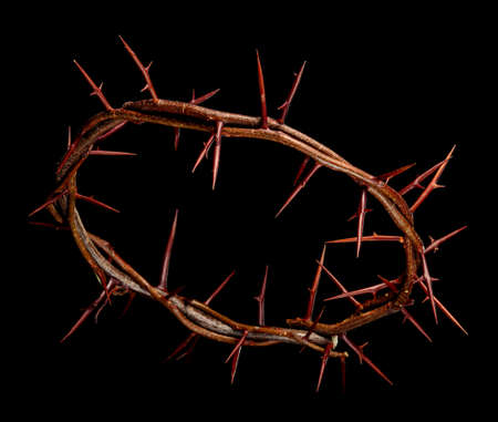 Crown of thorns on black backgroundの写真素材