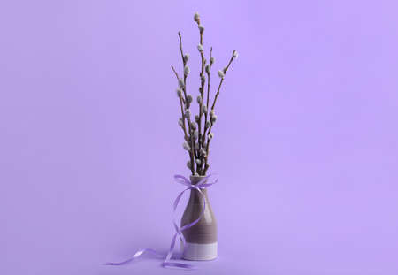 Vase with pussy willow branches on lilac backgroundの写真素材