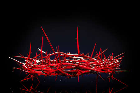 Crown of thorns on dark backgroundの写真素材