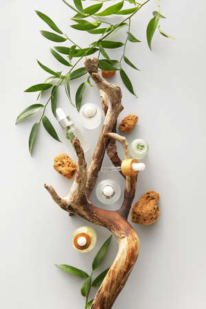 Bottles of natural serum, stones and tree branches with plant leaves on light backgroundの写真素材