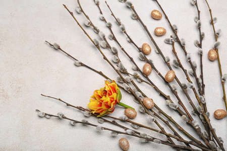 Willow branches, flower and painted Easter eggs on light backgroundの写真素材