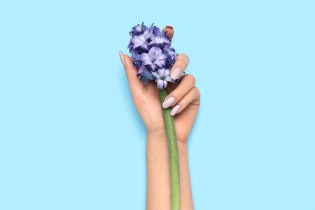 Female hand with beautiful manicure and hyacinth flower on blue backgroundの写真素材