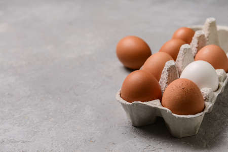 Holder with fresh chicken eggs on gray background