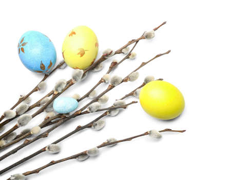 Painted Easter eggs and pussy willow branches on white background