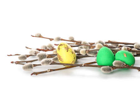 Painted Easter eggs and pussy willow branches on white background