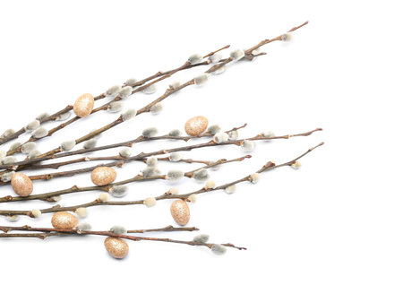 Easter eggs and pussy willow branches on white background