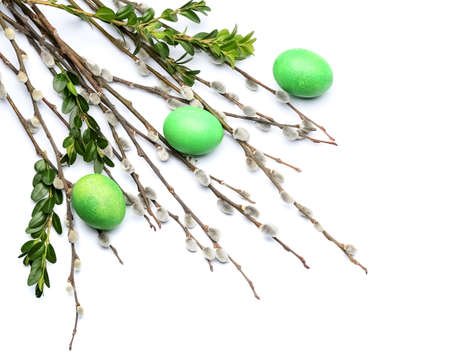 Painted Easter eggs and pussy willow branches on white background