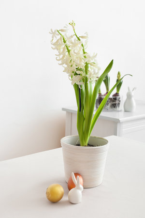 Pot with beautiful hyacinth plant, Easter bunny and eggs on light backgroundの写真素材