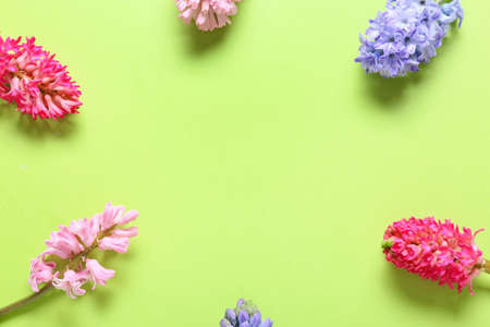 Frame made of beautiful hyacinth flowers on green background, closeupの写真素材