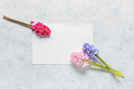 Blank card with beautiful hyacinth flowers on light backgroundの写真素材