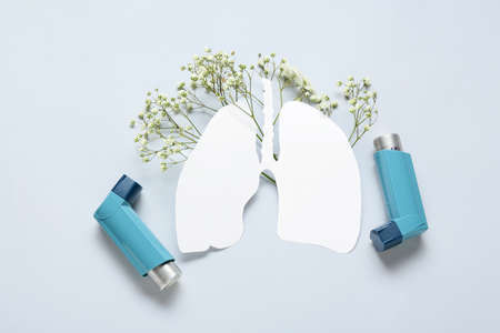 Composition with paper lungs, inhalers and gypsophila flowers on white backgroundの写真素材