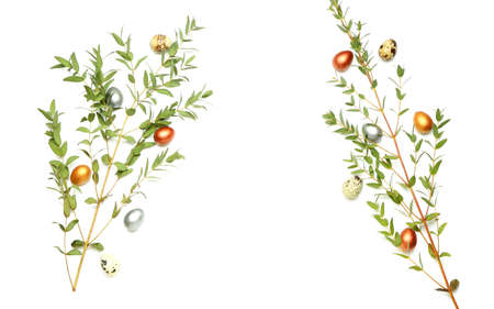 Stylish painted Easter eggs and eucalyptus branches on white backgroundの写真素材