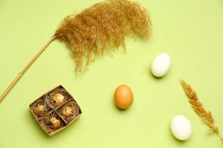 Easter eggs and pampas grass on green background