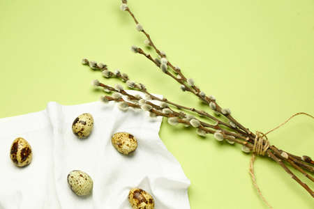 Quail eggs and willow branches on green background