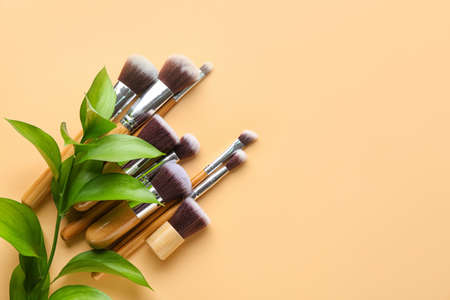 Set of makeup brushes with plant branch on beige backgroundの写真素材