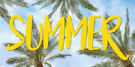 Green palms at tropical resort on sunny day and word SUMMERの写真素材