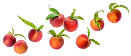 Flying ripe peaches on white backgroundの写真素材