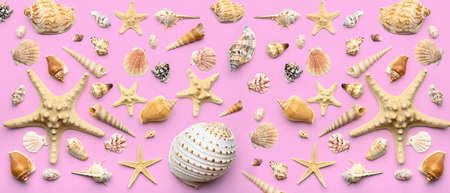 Many beautiful sea shells on pink background, top view. pattern for design