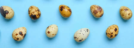 Many quail eggs on blue background. pattern for designの写真素材