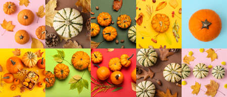 Collection of beautiful autumn compositions with pumpkins on color background, top viewの写真素材