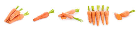 Set of fresh carrots isolated on whiteの写真素材