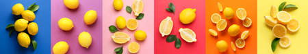 Collage with many lemons on color background, top view