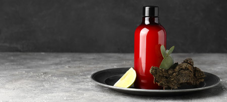 Bottle of shampoo, tree bark and piece of lime on gray tableの写真素材