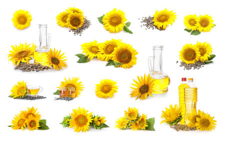 Set of beautiful sunflowers, oil and seeds isolated on whiteの写真素材