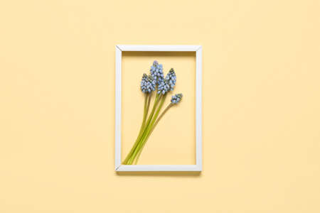 Frame with beautiful Muscari flowers on light yellow backgroundの写真素材