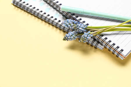 Notebooks with beautiful Muscari flowers on light yellow background, closeupの写真素材