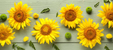 Composition with beautiful sunflowers on wooden backgroundの写真素材