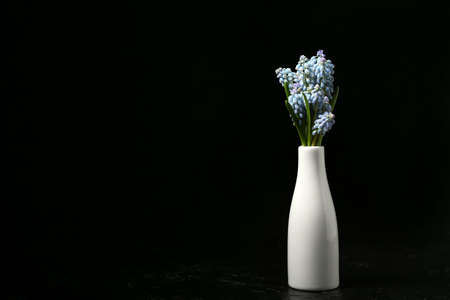 Vase with beautiful Muscari flowers on black backgroundの写真素材
