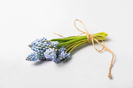 Bouquet of beautiful Muscari flowers on light backgroundの写真素材