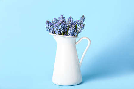 Vase with bouquet of beautiful Muscari flowers on blue backgroundの写真素材