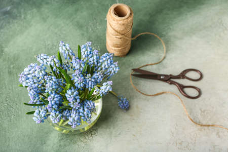 Vase with beautiful Muscari flowers, thread and scissors on green backgroundの写真素材
