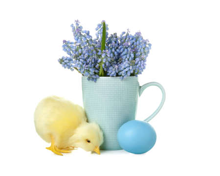 Cute yellow chicken cup with bouquet of flowers and Easter egg on white backgroundの写真素材