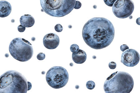 Many falling blueberries on white backgroundの写真素材